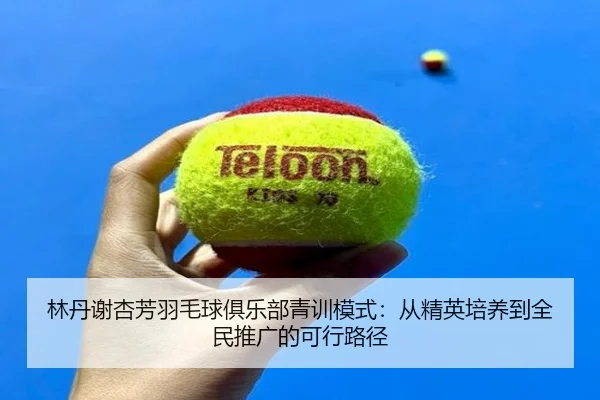 林丹谢杏芳羽毛球俱乐部青训模式：从精英培养到全民推广的可行路径
