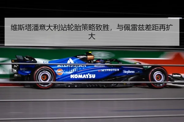 wei-si-ta-pan-yi-da-li-zhan-lun-tai-ce-lve-zhi-sheng-yu-pei-lei-zi-cha-ju-zai-kuo-da-3-288.jpg