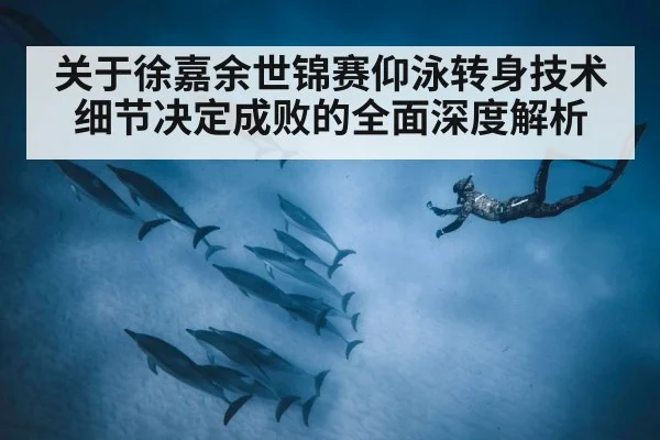 关于徐嘉余世锦赛仰泳转身技术细节决定成败的全面深度解析