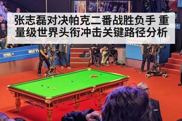 张志磊对决帕克二番战胜负手 重量级世界头衔冲击关键路径分析